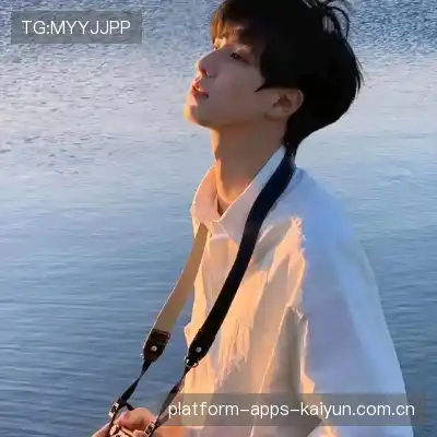 何鹰辉